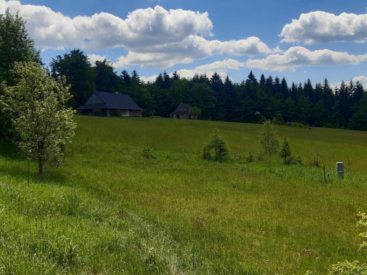 Kuznia Nowica Lägenhet Uscie Gorlickie Exteriör bild